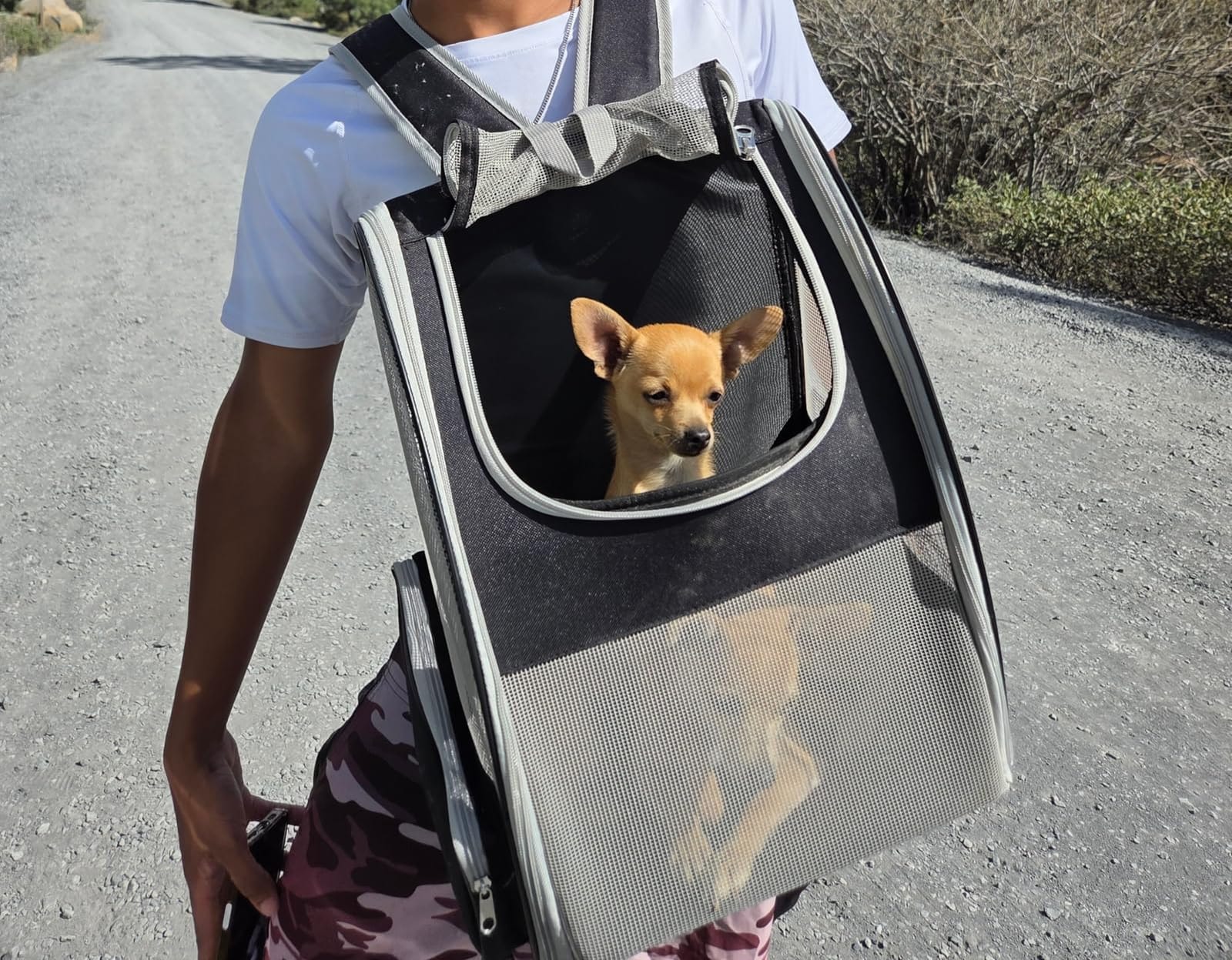 Conlun Cat Backpack Carrier for Small Dogs and Cats Fit Up to 15 Lbs,Small Dog Backpack, Foldable with 3-Side Mesh Windows, Pet Carrier for Travel & Hiking Friendly,Gray customer photo 1