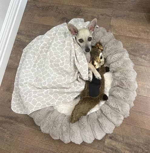 BALANCE Luxury Donut Dog Bed, 43 Inches Round Dog Beds Large Sized Dogs Washable, Orthopedic Calming Dogs Bed for Pets with Anti-Slip Bottom, Oatmeal customer photo 2