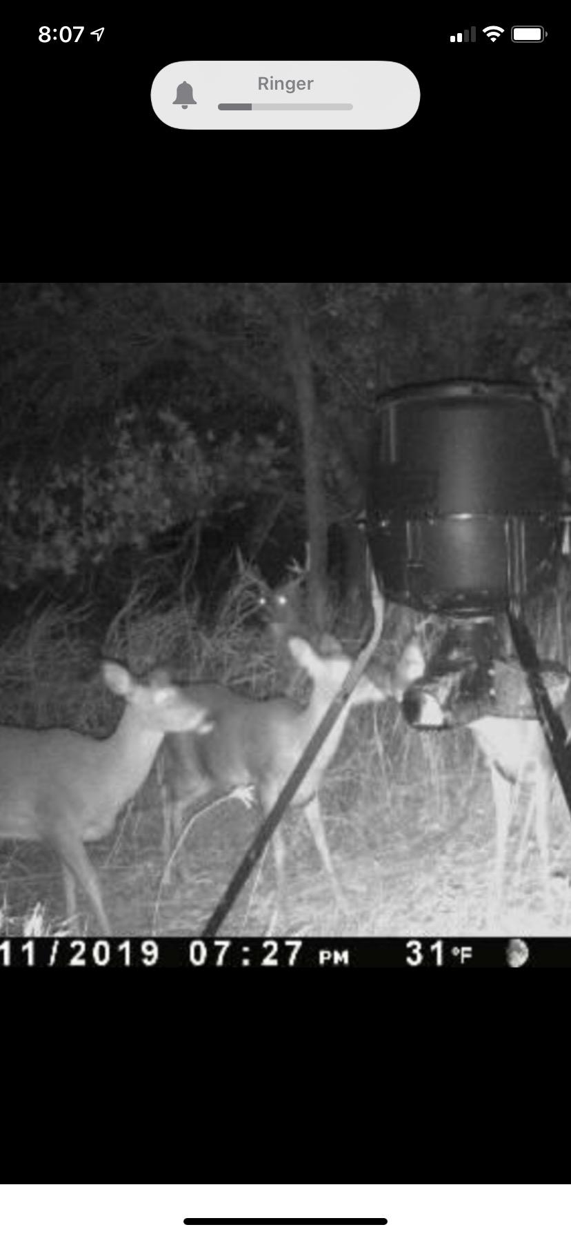 Moultrie Gravity Deer Feeder - Tripod Game Feeder - Easy Conversion Adapter - Protein Pellet Ready - Rugged No-Power Setup for Deer Management customer photo 2