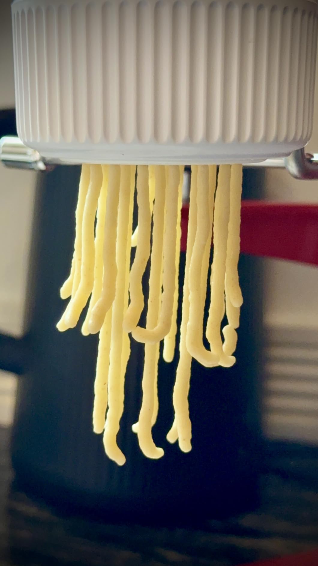 Gourmet Pasta Press Attachment for KitchenAid Stand Mixers customer photo 2