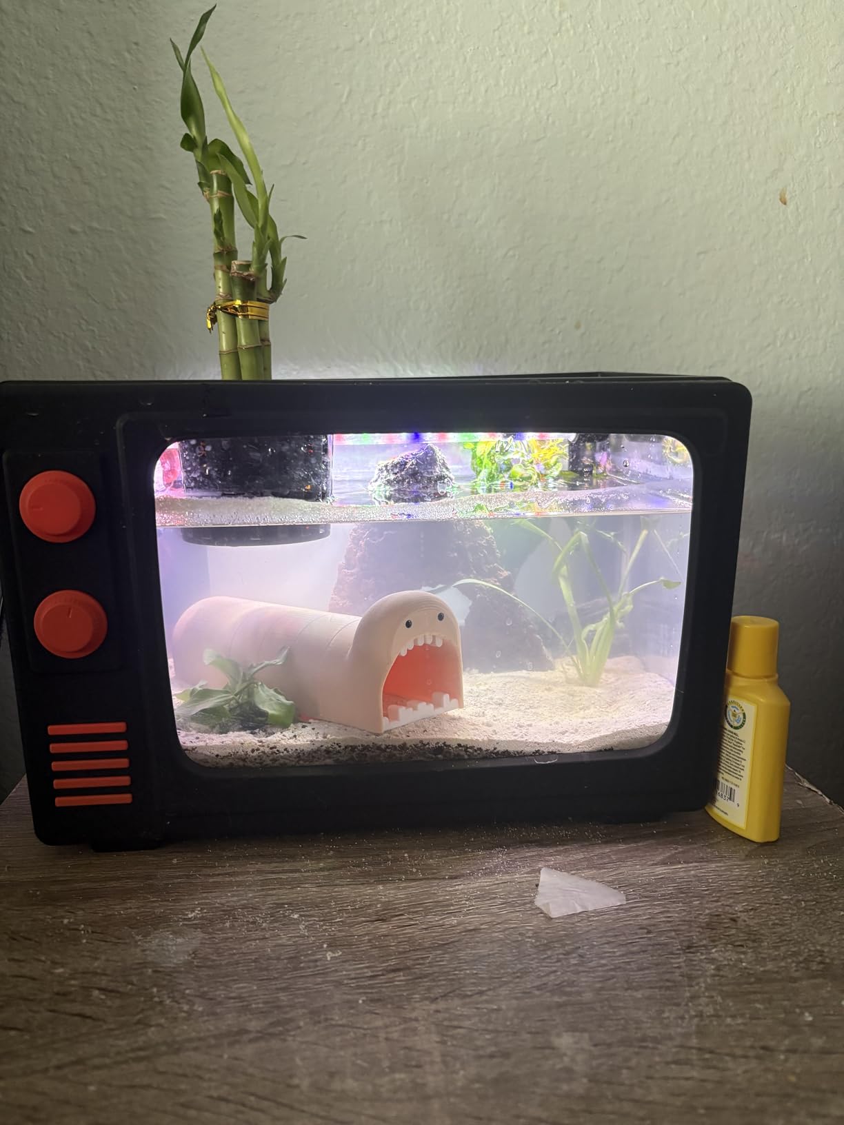 2.5 Gallon Fish Tank Kit with LED Lights, Filter & Plant Planter - Retro TV Decorative Fish Tank for Office Desk Home Decor,Mini Aquarium Starter Kit for Betta Fish (Black - 2.5 Gallon) customer photo 1