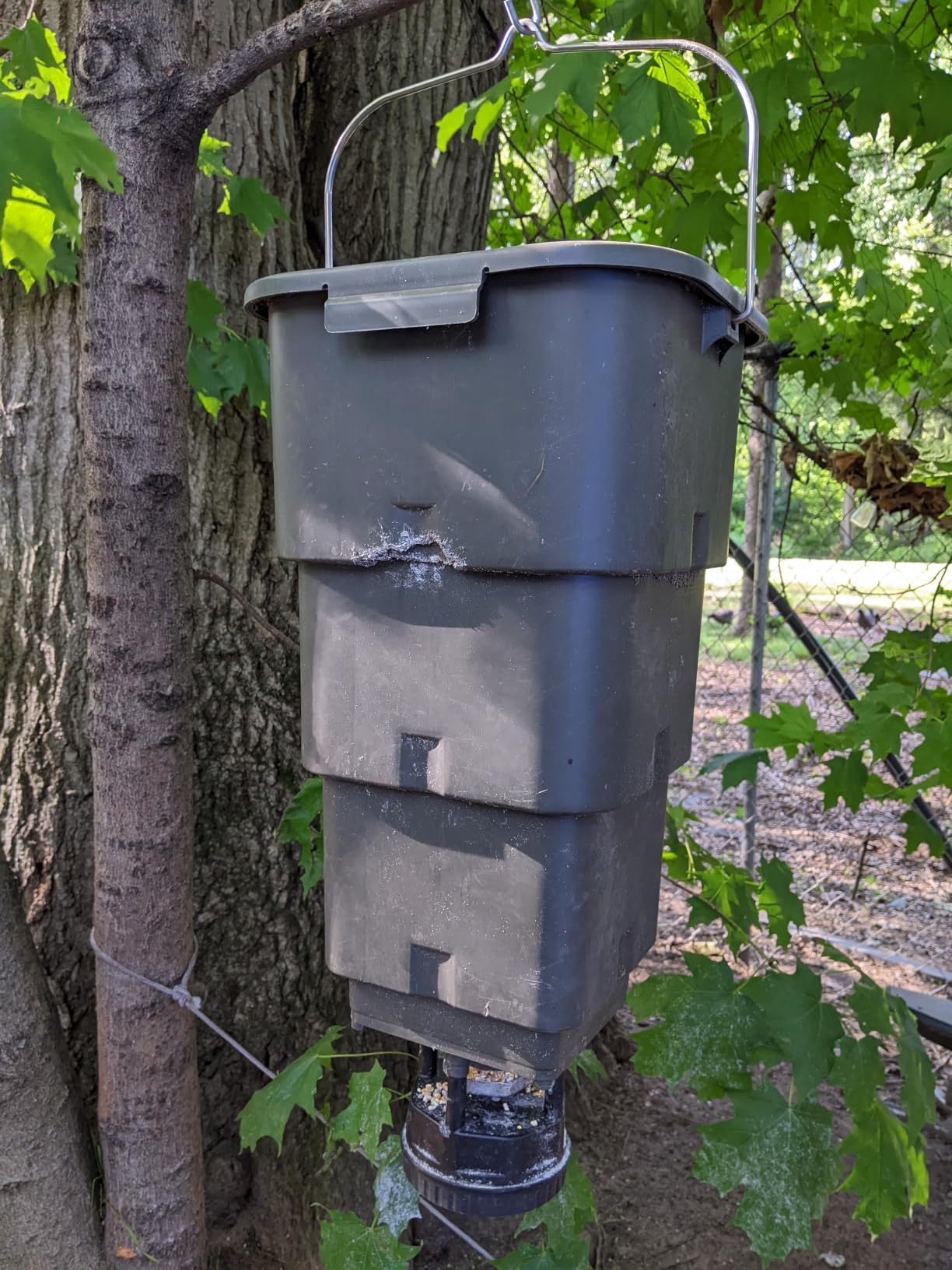 5 Gallon Hanging Deer Feeder with Programmable Digital Timer (4 Feed Times) | Automatic Game Feeder,Easy Installation,Batteries Not Included customer photo 1