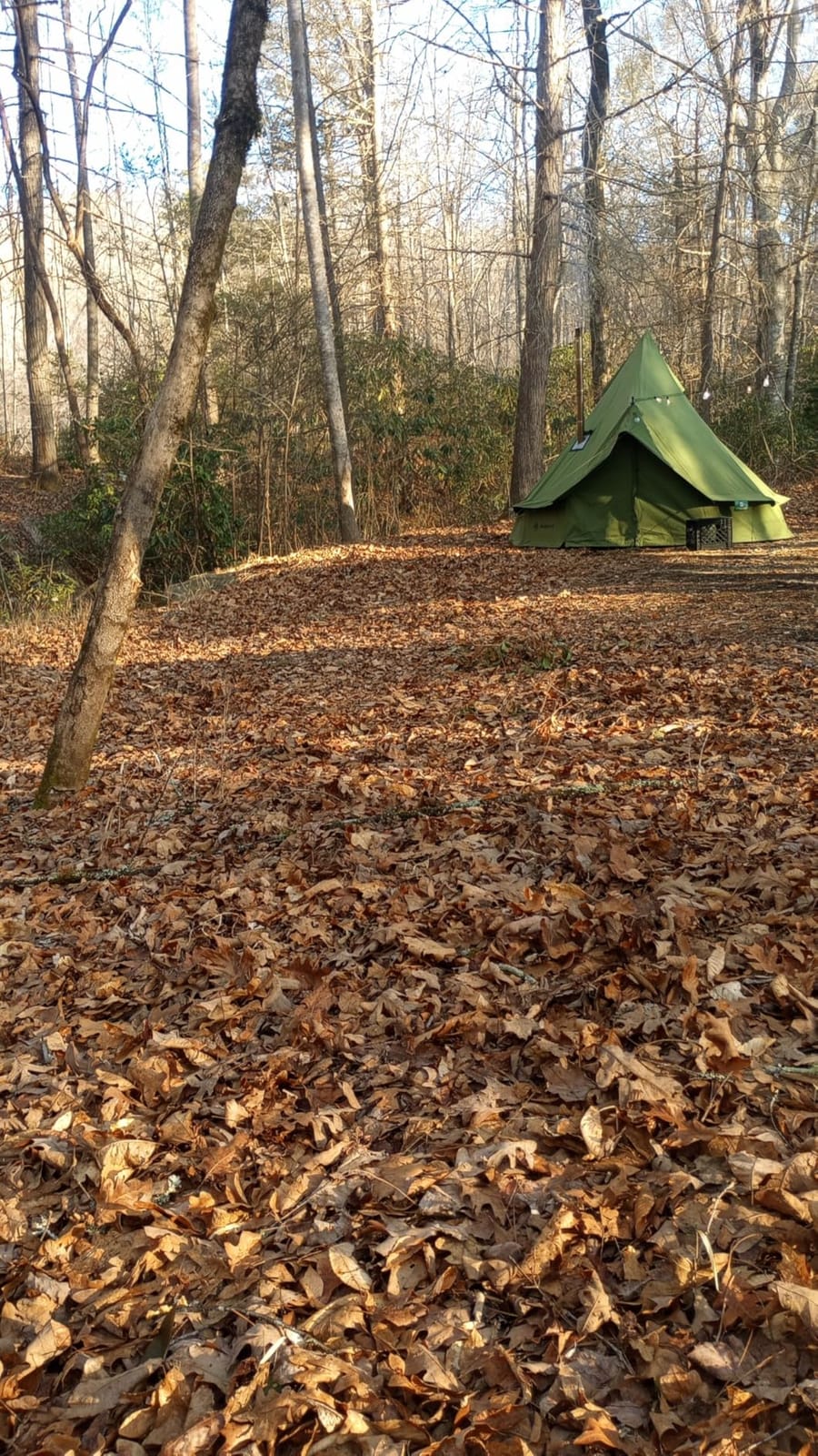 Bell Yurt Tent with Stove Jack, Waterproof Luxury 4 Season Tent 420D Oxford Cloth Green Glamping Tents for Family Outdoor Camping, Hunting, Party, All Year Living customer photo 2