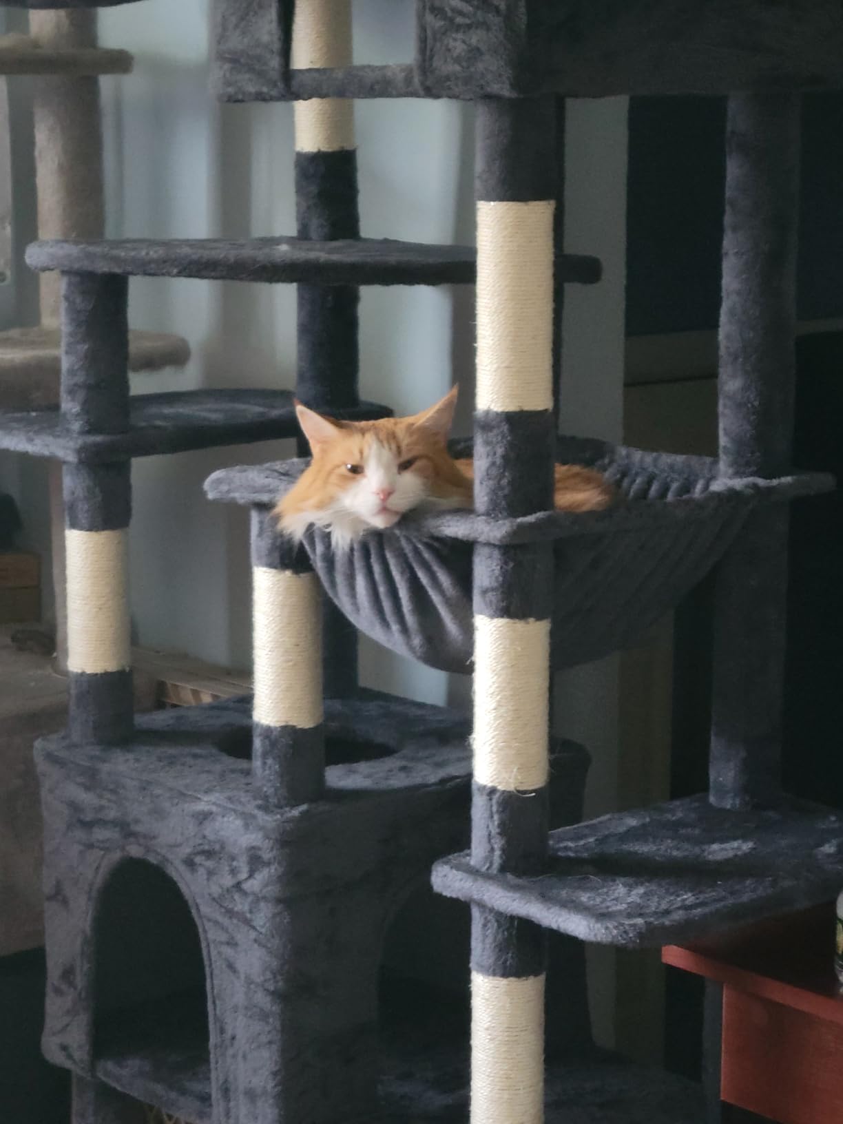 Heybly Cat Tree, 76-Inch Tall Heavy Duty Cat Tower for Big Cats HCT039G customer photo 2
