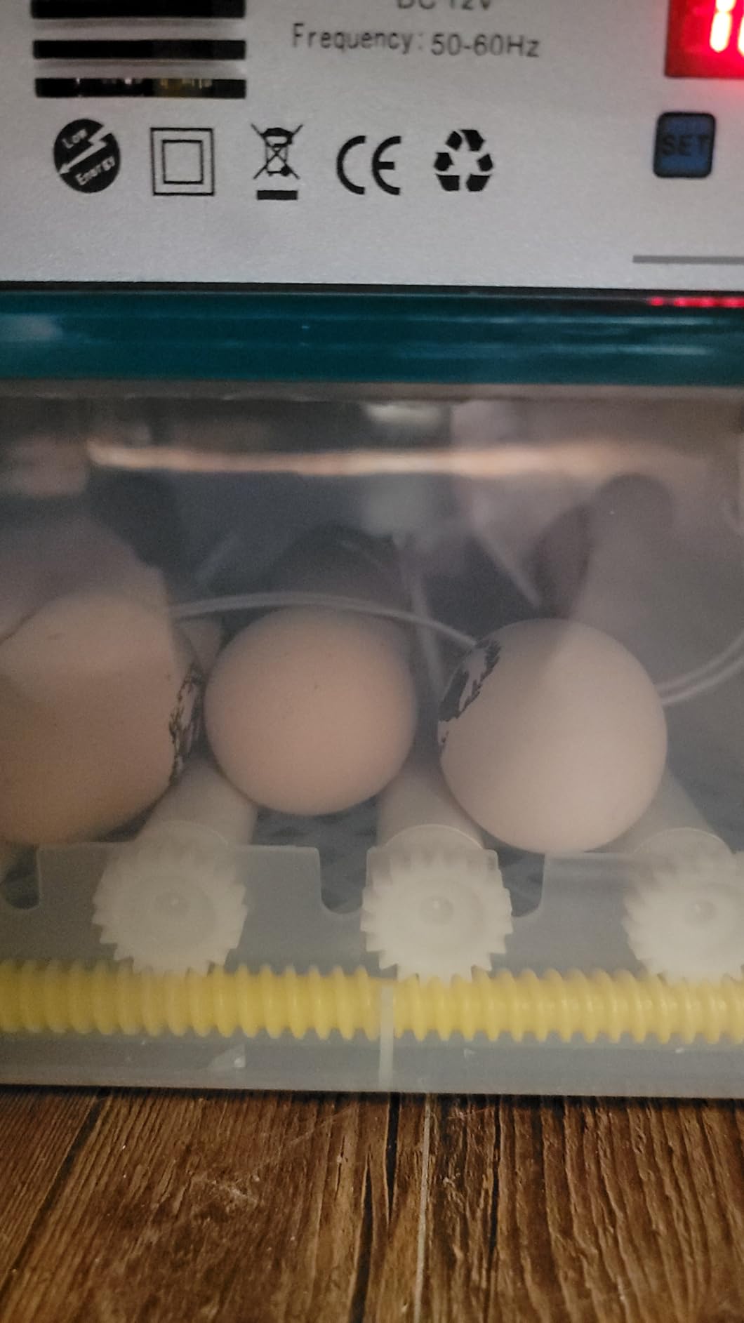 CoInceptus 36 Eggs Incubators for Hatching Eggs,Egg Incubator with 4 Automatic Incubate Mode,Chicken Incubator with Automatic Egg Turning Humidity Display,Quail Egg Incubator with Egg Candle customer photo 1