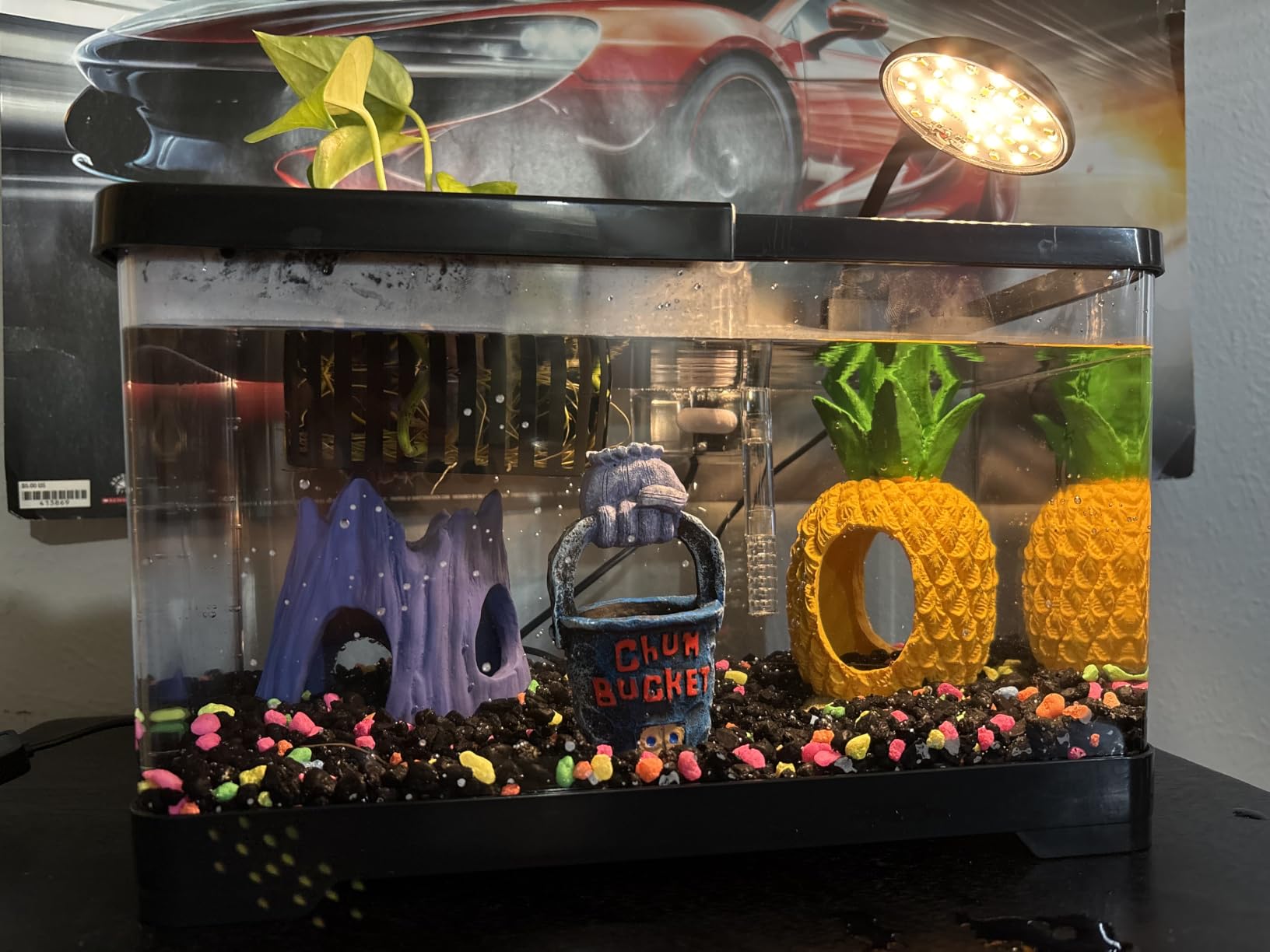1.8 Gallon Beta Fish Tank Aquariums Kits - Clear Small Fish Bowl Starter Kit with LED Light, Water Filter Pump, Hydroponic Basket - Beginner's Gift for Guppy Shrimp Goldfish, Rectangular customer photo 2