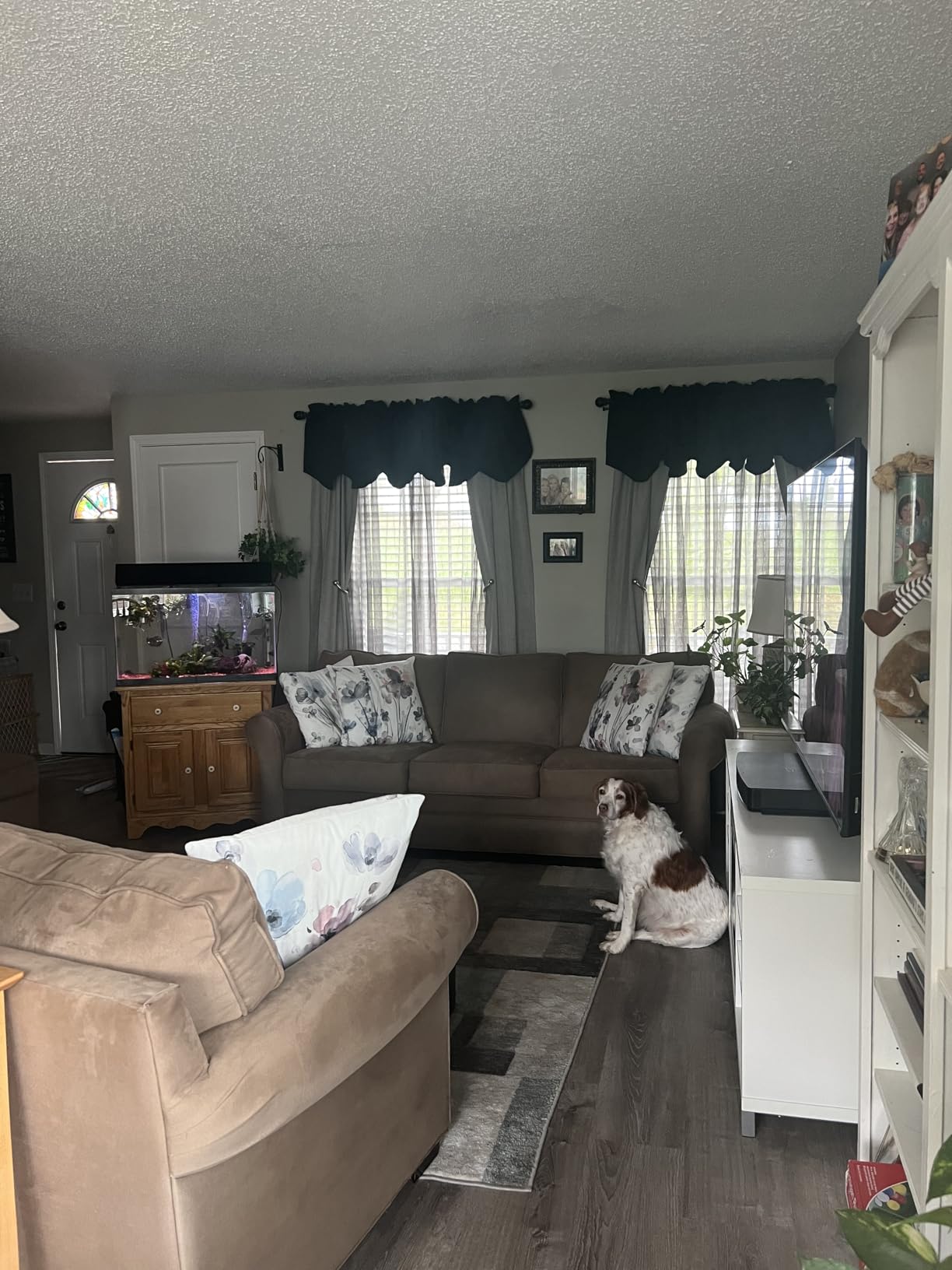 NICETOWN Greyish Green Valances 4 Panels for Living Room Bedroom customer photo 1
