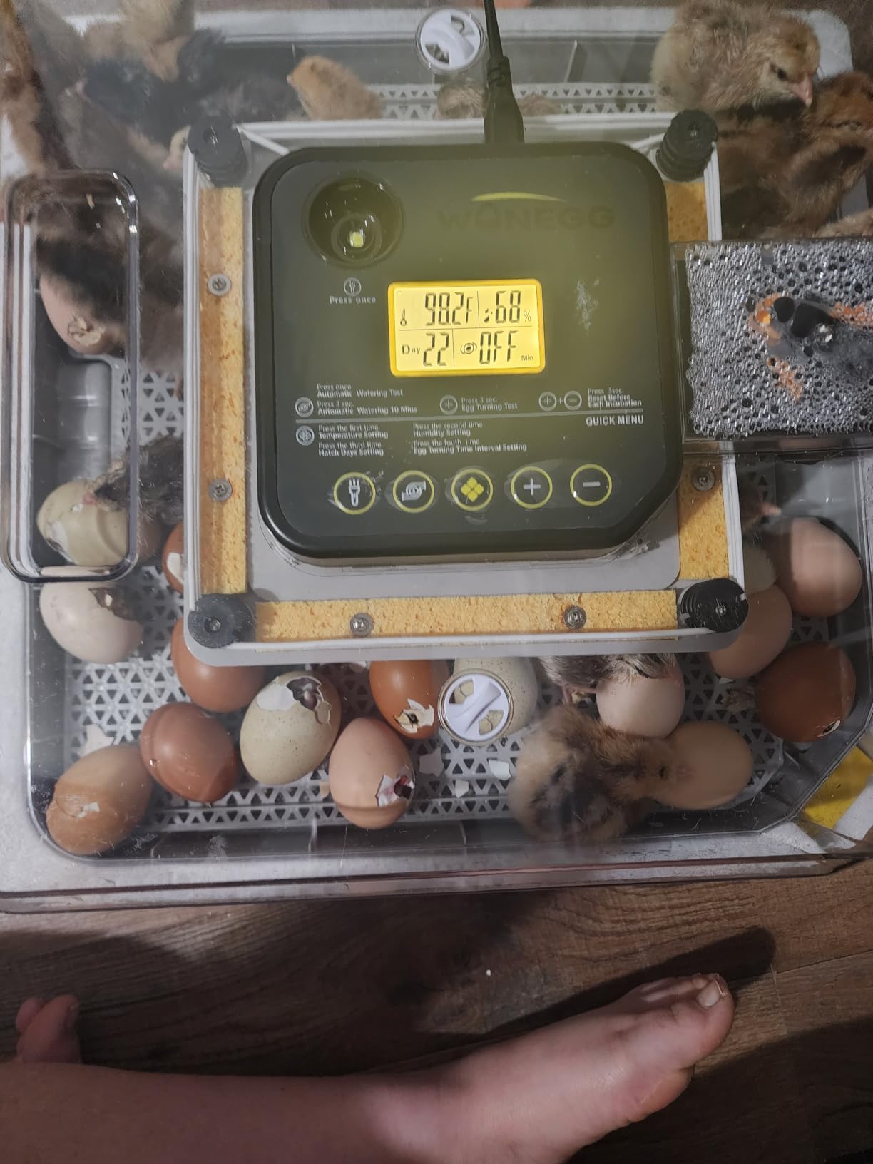 VEVOR 400 Egg Incubator, Poultry Incubator Cabinet with Automatic Eggs Turning, Temperature & Humidity Control, Heating & Cooling Egg Hatcher, Commercial Incubators for Hatching Chicks Ducks Goose customer photo 1