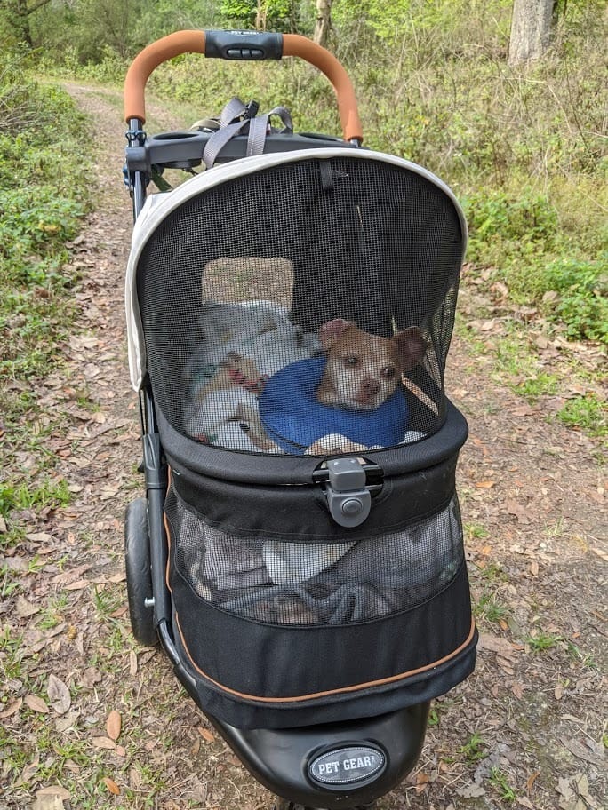 Pet Gear No-Zip AT3 Pet Stroller for Cats/Dogs, Sea Salt | Zipperless Entry, Easy One-Hand Fold, Jogging Tires, Removable Liner, Cup Holder + Storage Basket customer photo 1