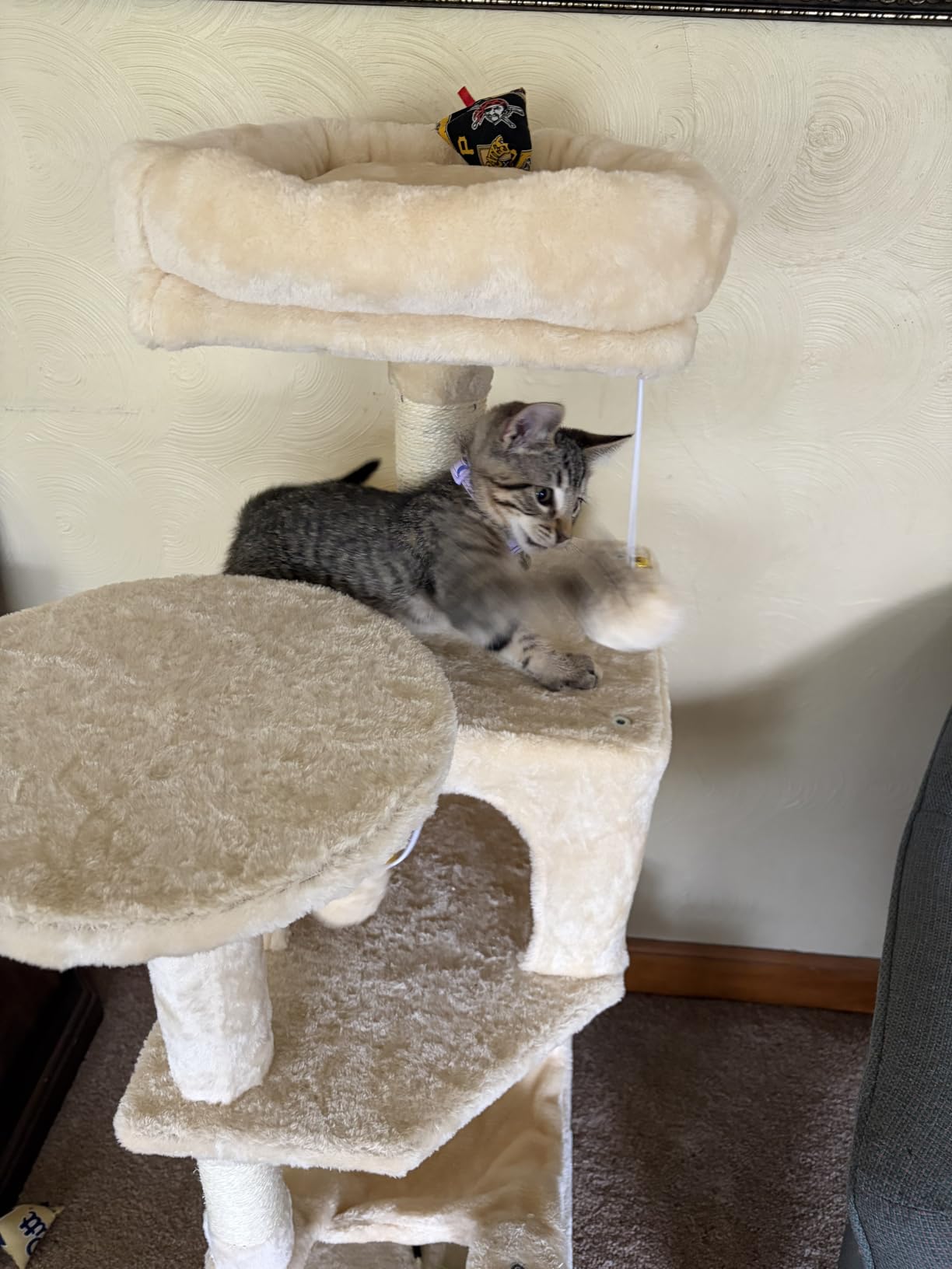 Sweetcrispy 71 Inch Cat Tree Tower with Natural Sisal Scratching Post customer photo 1