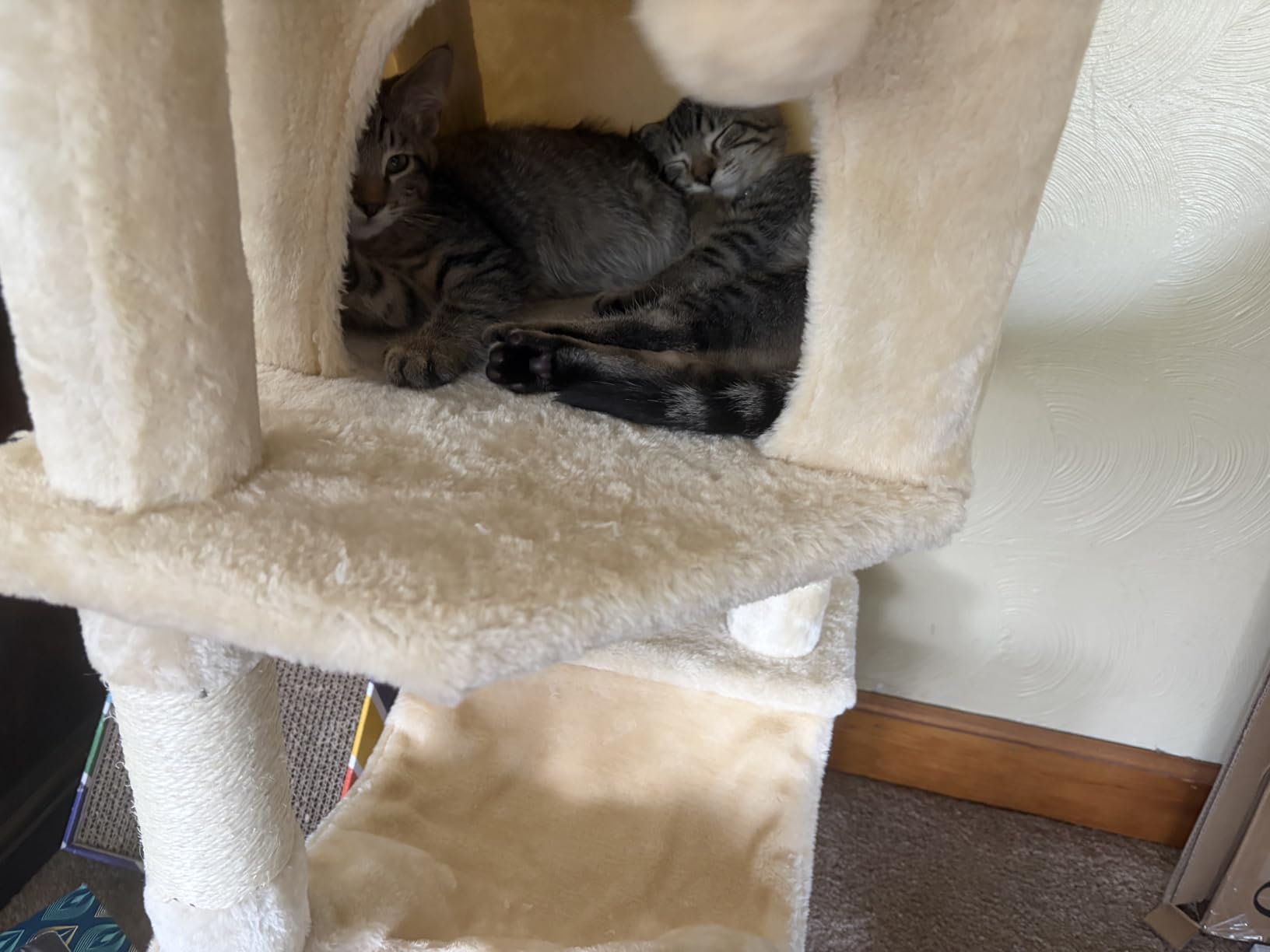 Sweetcrispy 71 Inch Cat Tree Tower with Natural Sisal Scratching Post customer photo 2