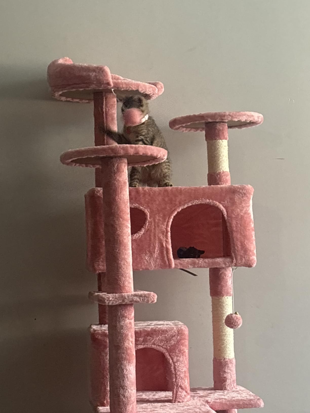 DUMOS Tall 71 inch Cat Tree Tower with Scratching Posts, Indoor Cats Use customer photo 1