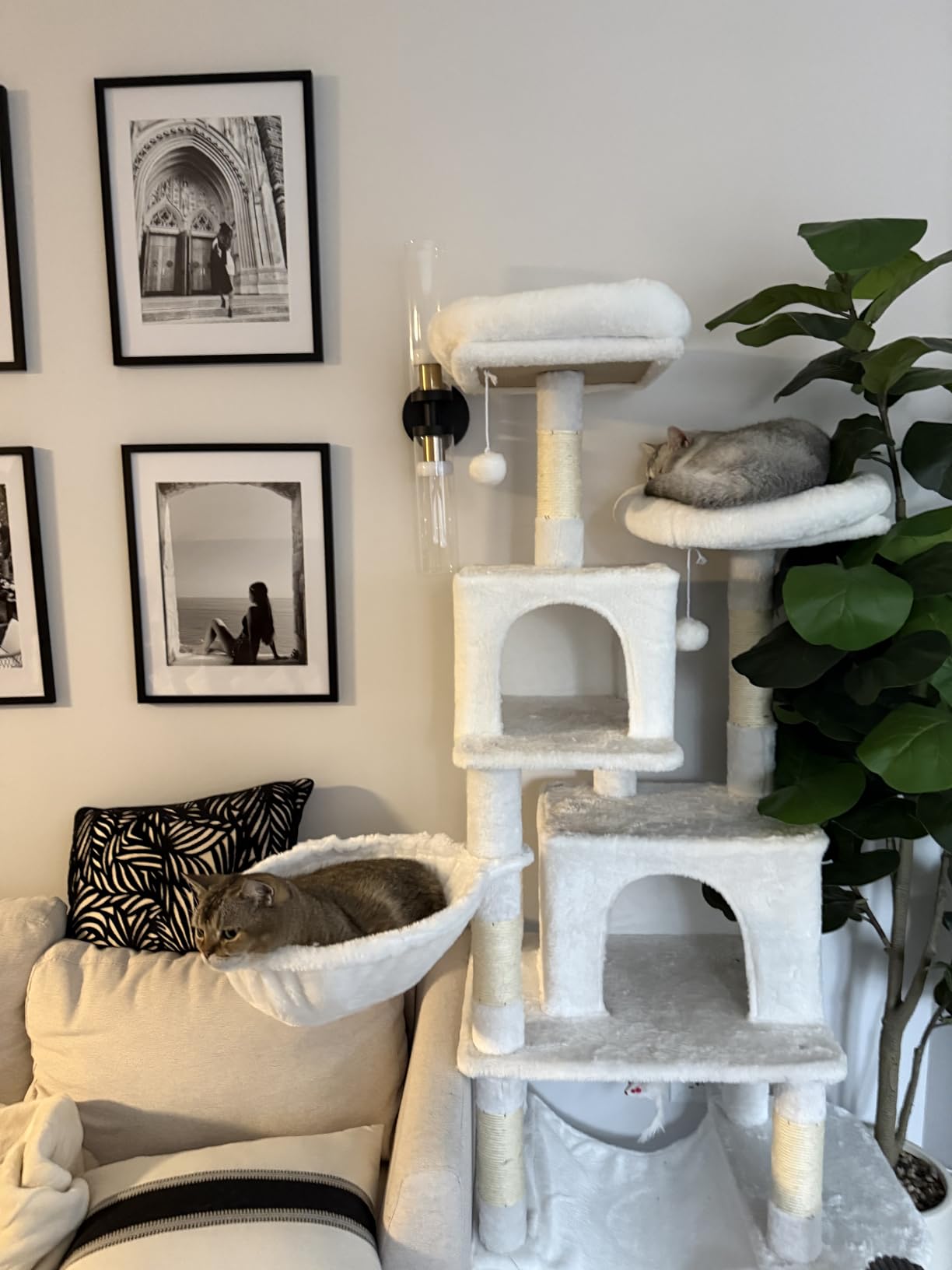 Taoqimiao Heavy Duty Cat Tree, 73In Sturdy Cat Tower for Large Cats 25lbs+ customer photo 1