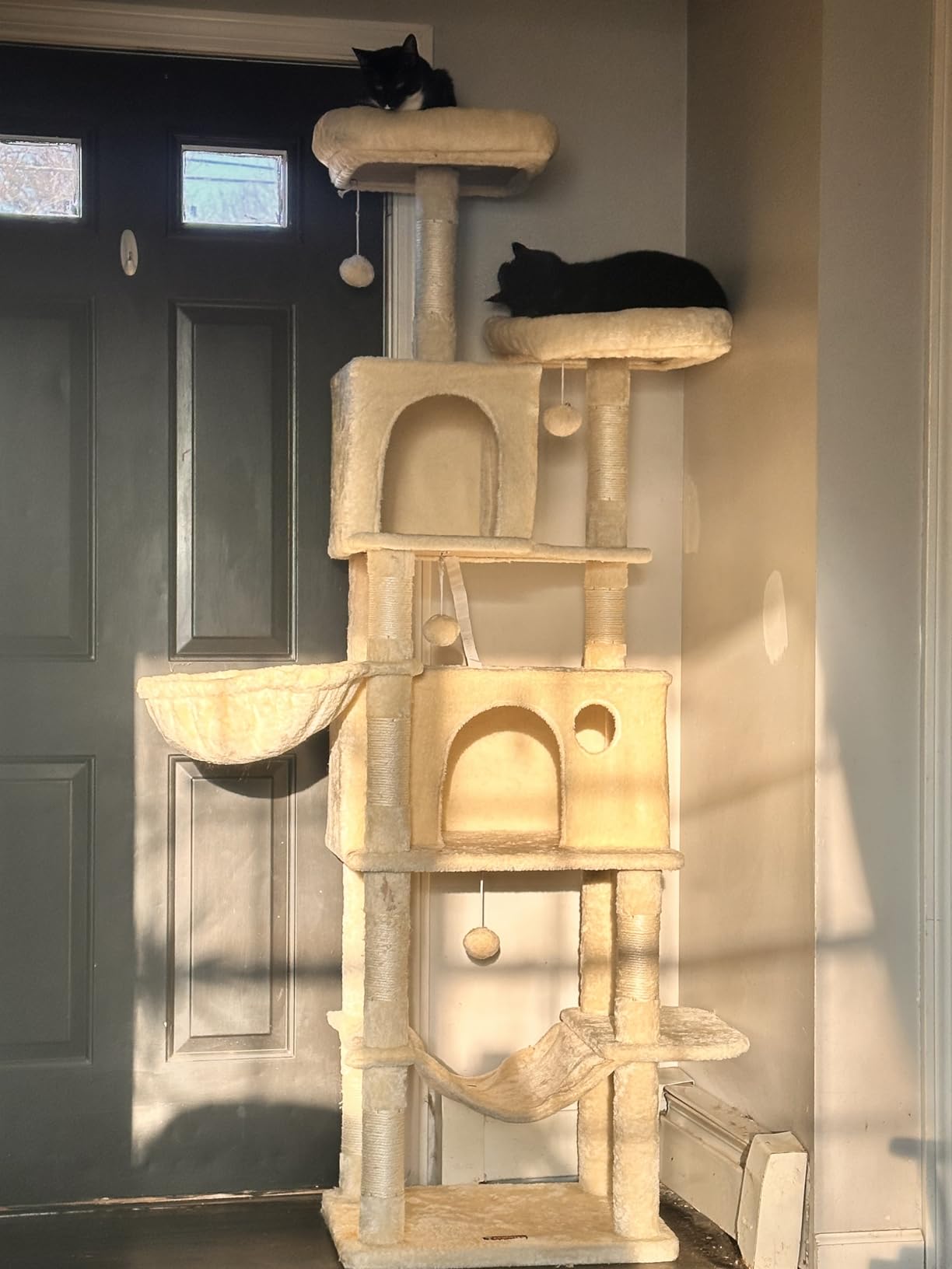 Taoqimiao Heavy Duty Cat Tree, 73In Sturdy Cat Tower for Large Cats 25lbs+ customer photo 2