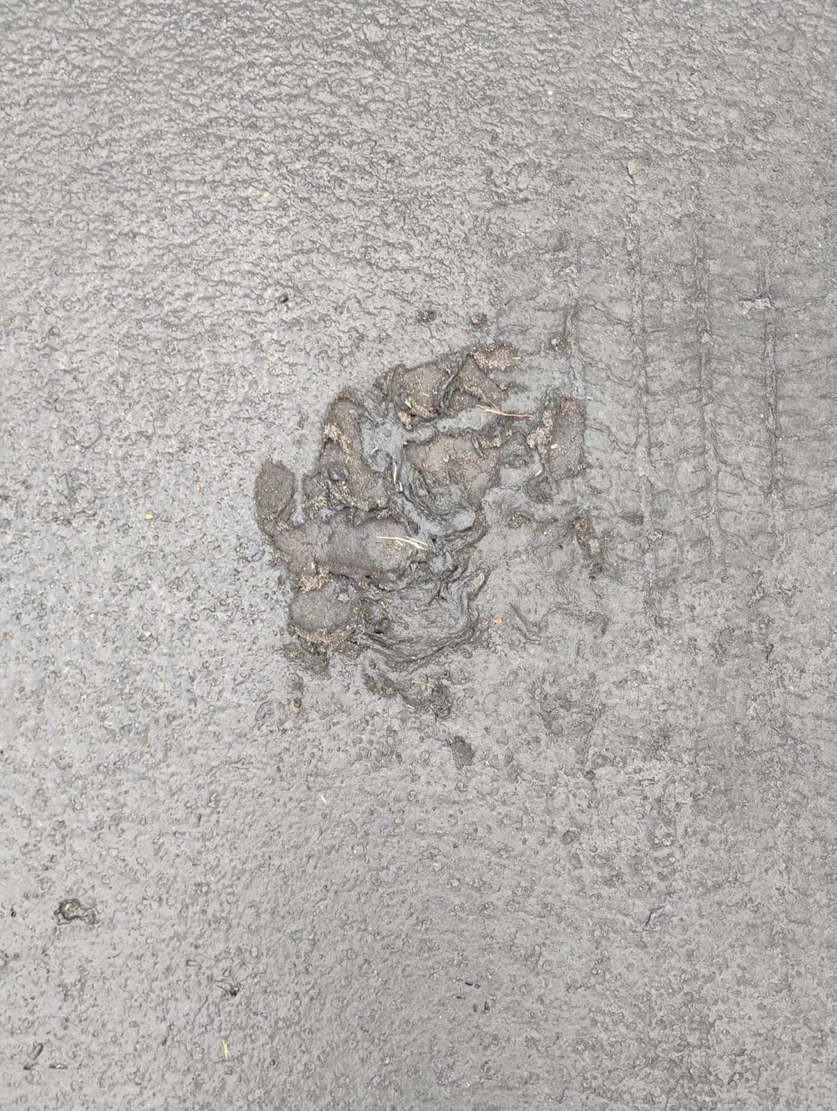 Liquid Rubber Driveway Restore - Asphalt Sealer & Crack Filler, 4 Gallon customer photo 2