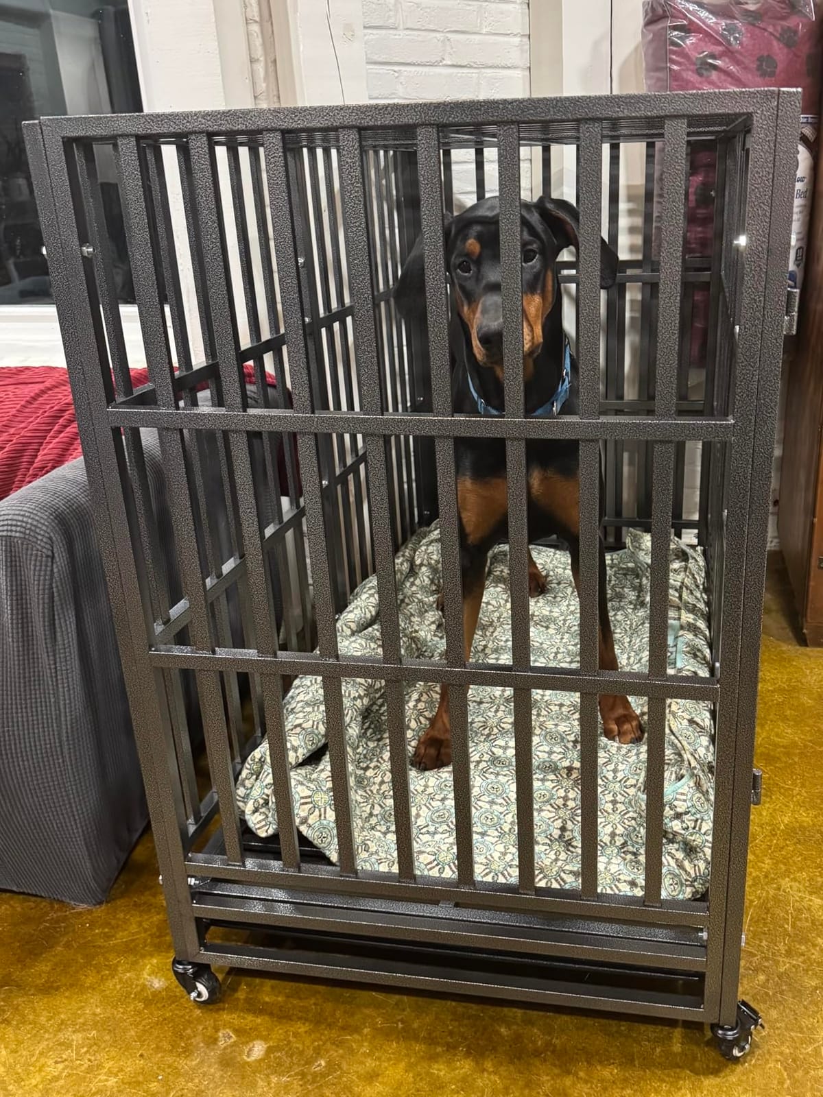 54 Inch Heavy Duty Dog Crate with Wheels for Large Dogs Black customer photo 1