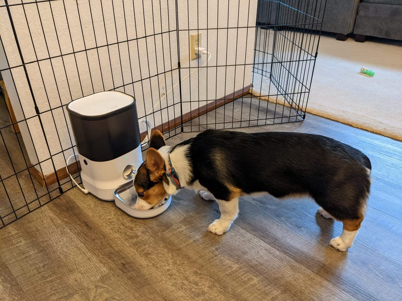 DOGNESS 11L Cordless Automatic Dog Feeder Large Breed customer photo 1