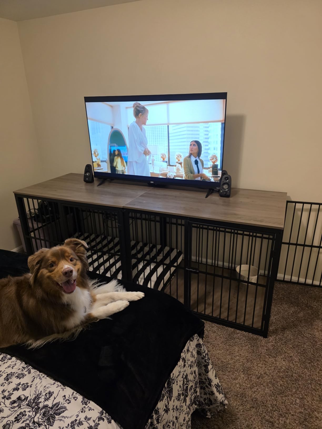 Lyromix 54'' XXXL Dog Crate Furniture with 3 Doors for Large Dogs customer photo 1