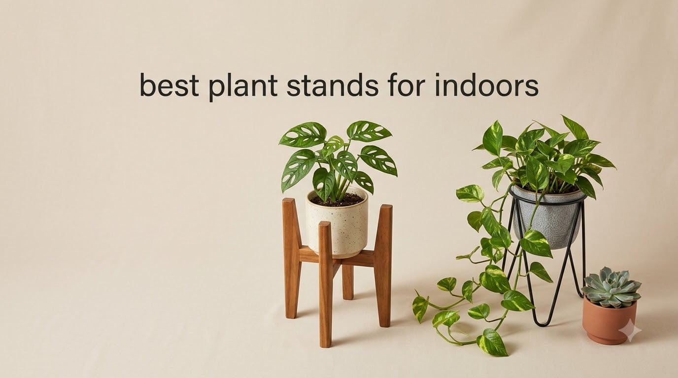 best plant stands for indoors
