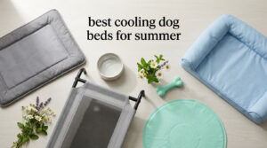best cooling dog beds for summer