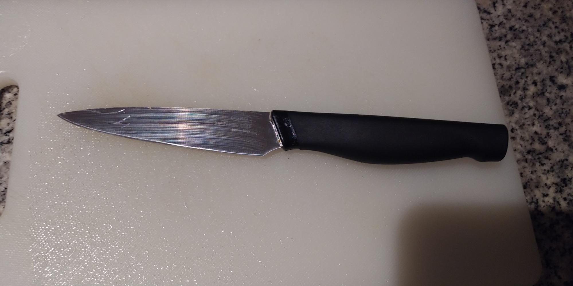 OXO Good Grips 3.5 Inch Paring Knife, Black/Silver, 3-1/2-Inch customer photo 2