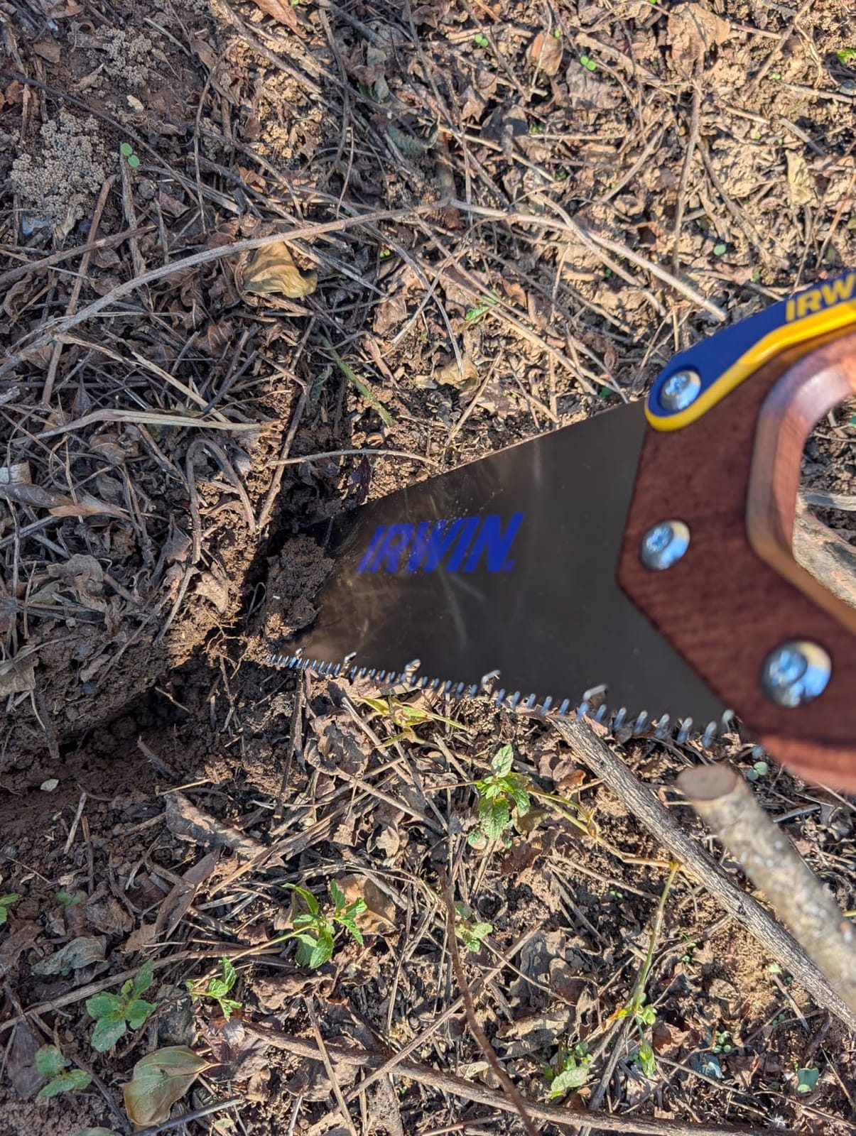IRWIN Hand Saw, Coarse Cut, ProTouch Handle, 15-Inch (2011201) customer photo 2