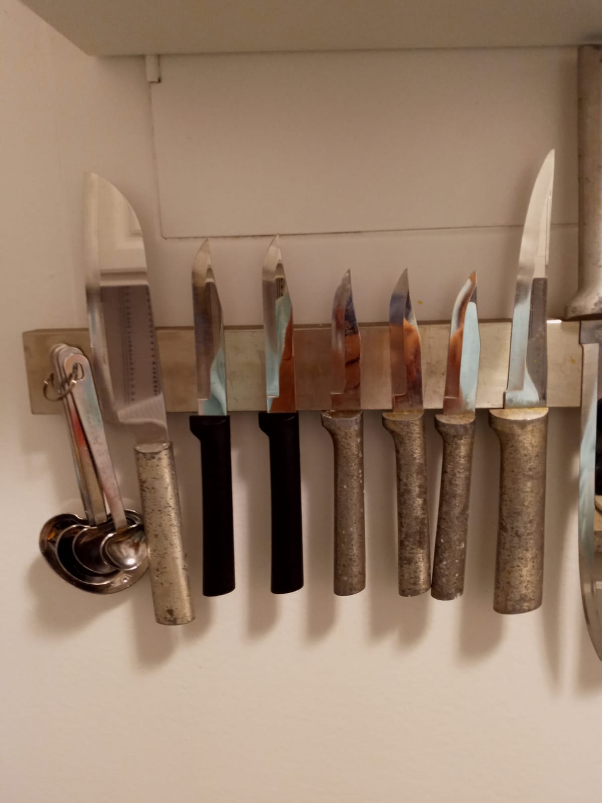 RADA Cutlery Regular Paring Knife (R101), Silver customer photo 2