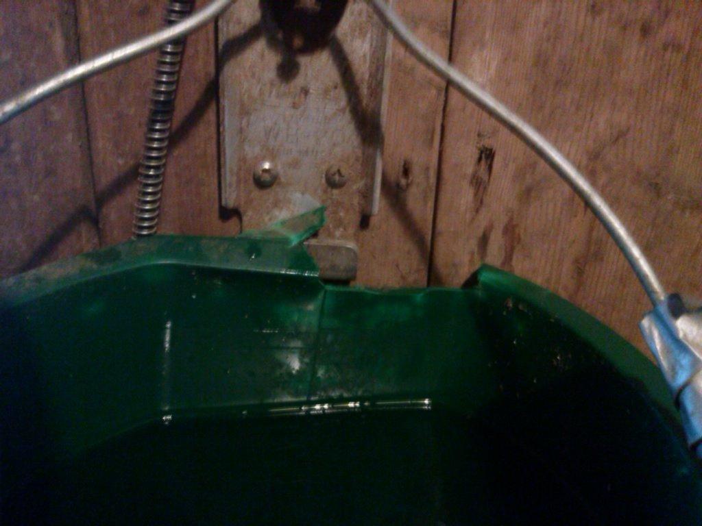 Farm Innovators Heated Flat-Back Water Bucket, 120 Watts, 5 Gallon customer photo 1