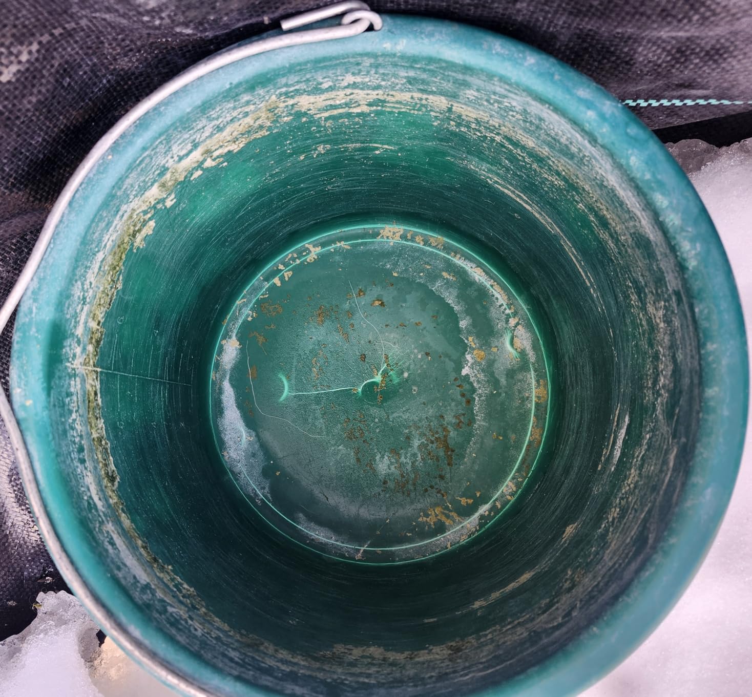 Farm Innovators Heated Flat-Back Water Bucket, 120 Watts, 5 Gallon customer photo 2