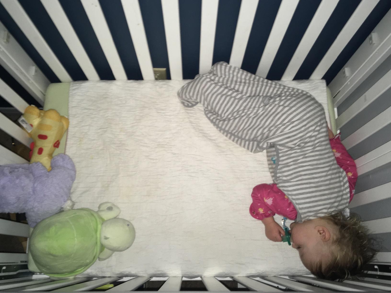 Dream On Me Mini Folding 3-in-1 Portable Baby Crib, Sturdy Locking Wheels customer photo 1