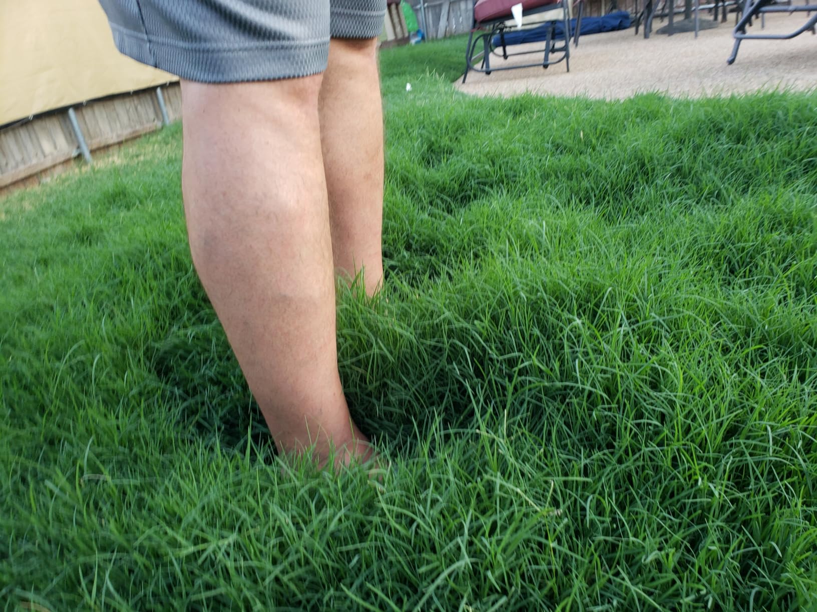 Black+Decker 40V MAX 13 Inch String Trimmer and Lawn Edger with Battery and Charger, Cordless Weed Eater with Charge Indicator, High Torque PowerDrive Technology (LST140C) customer photo 2