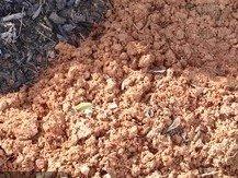 Liquid Soil Loosener- Soil Conditioner-Use alone or when Aerating with Mechanical Aerator or Core Aeration- Simple Lawn Solutions- Any Grass Type-Great for Compact Soils, Standing water, Poor Drainage customer photo 2