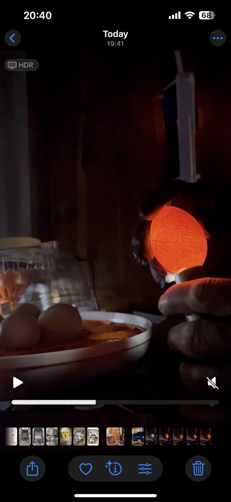 Incu-Bright™ Ultra Bright LED Egg Candler - Portable Light for All Egg Size customer photo 1