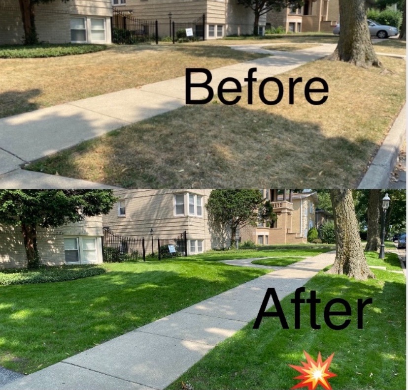 Liquid Lawn Aerator, Loosens and Conditions Compacted Soil, 32oz customer photo 1