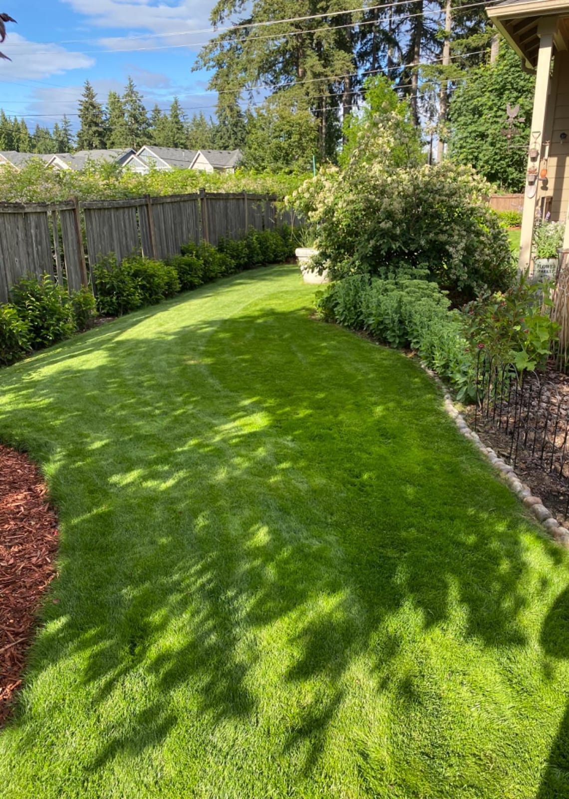 Liquid Lawn Aerator, Loosens and Conditions Compacted Soil, 32oz customer photo 2