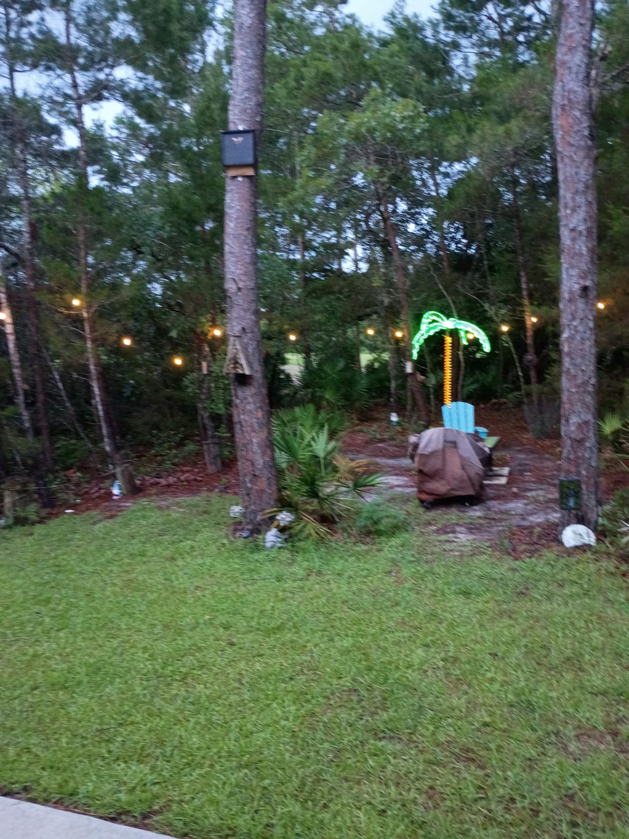 addlon LED Outdoor String Lights 48FT Edison Vintage Weatherproof ETL customer photo 2