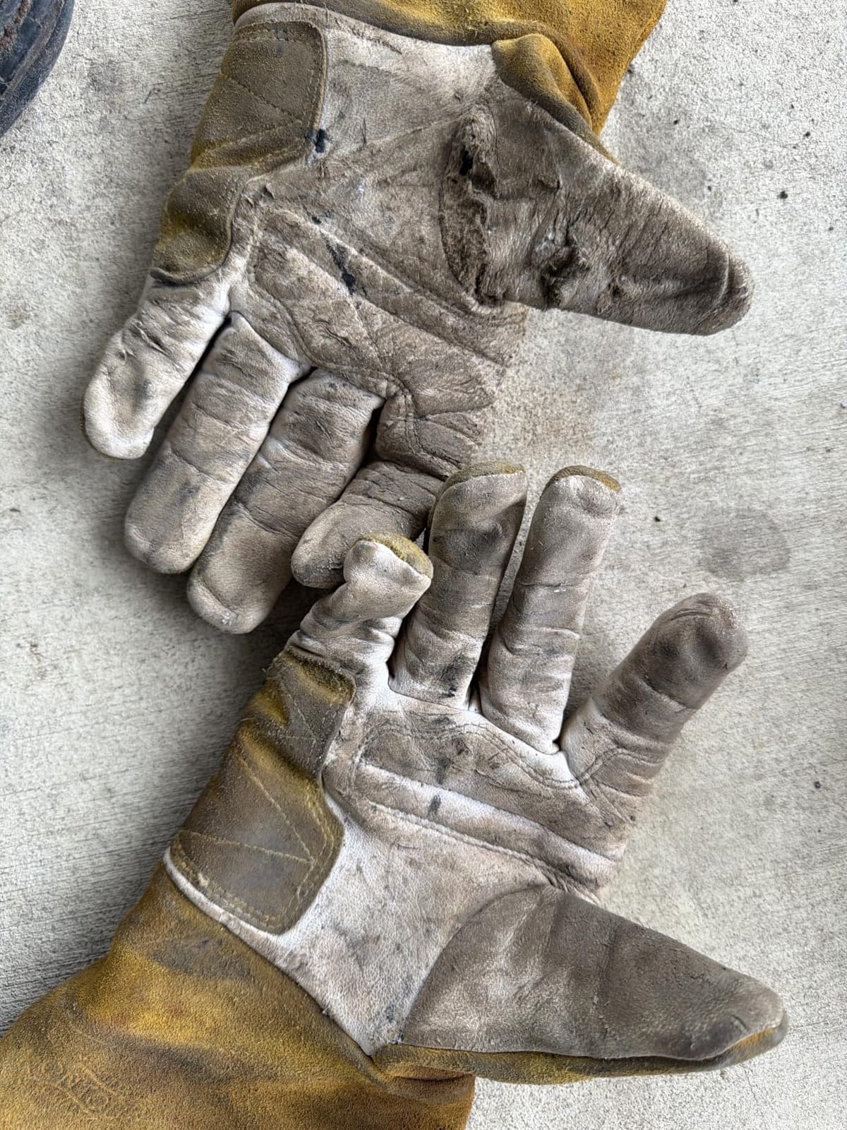 Caiman Premium Goat Grain TIG/Multi-Task Welding Gloves, Split Cowhide Back, 4-Inch Extended Cuff, White/Gold, Large (1540-5) customer photo 1