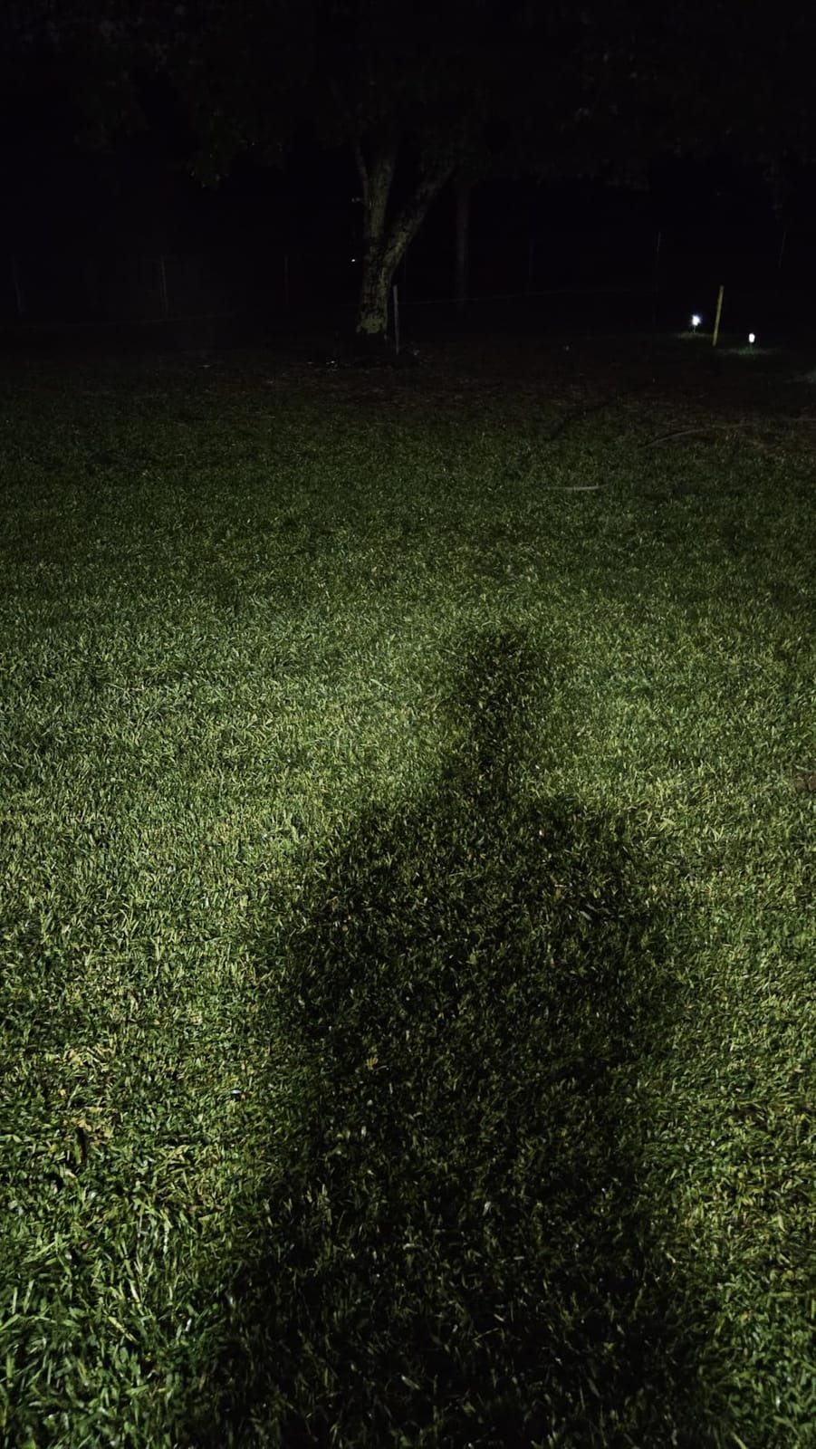 Soft Soil Liquid Soil Aerator & Lawn Treatment to Fix Compacted Soils, Improve Drainage with Non-Mechanical Liquid Application. 1 Gallon customer photo 2