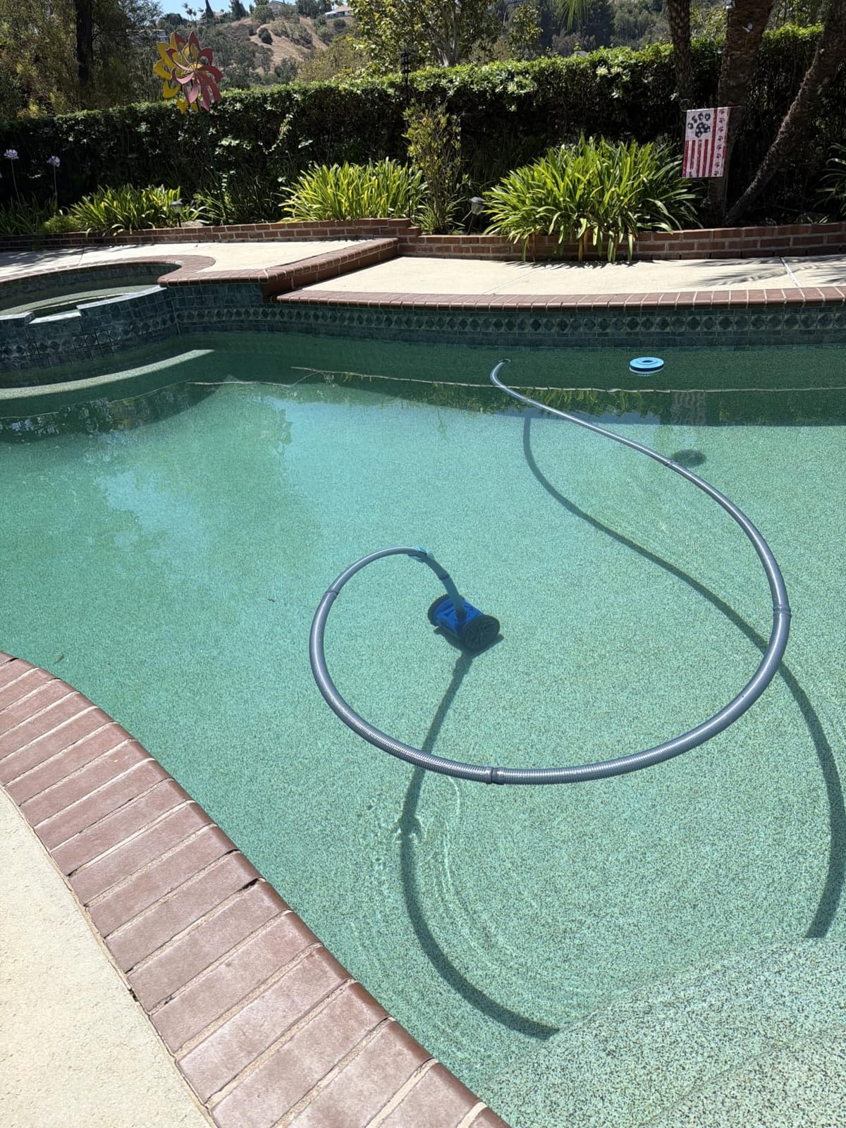 Pentair Rebel Cleaner Head (Head ONLY) | 360486 customer photo 1