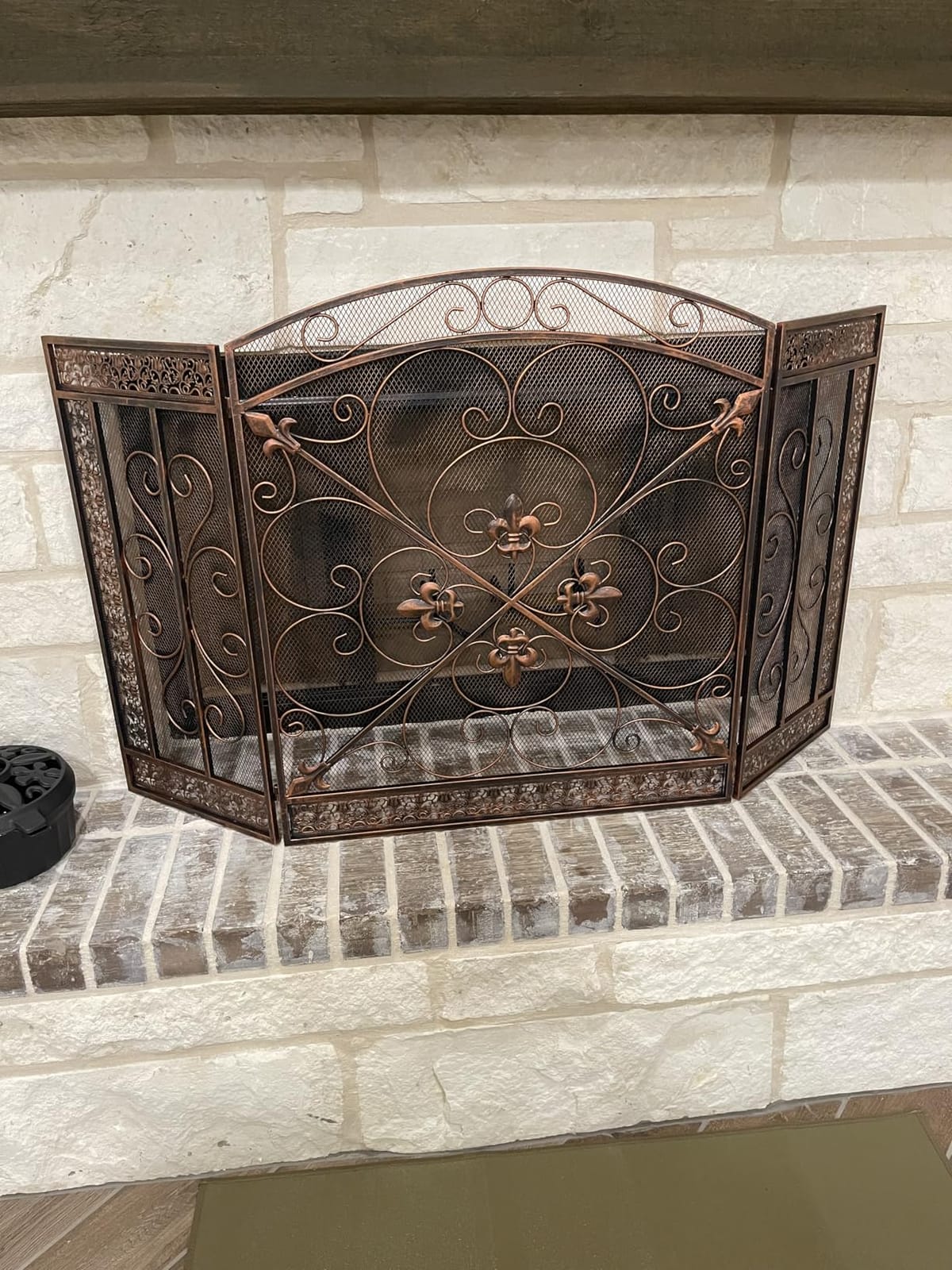 WICHEMI Fireplace Screen 3 Panel 50x32 Inch Folding Fireplace Cover Bronze customer photo 2