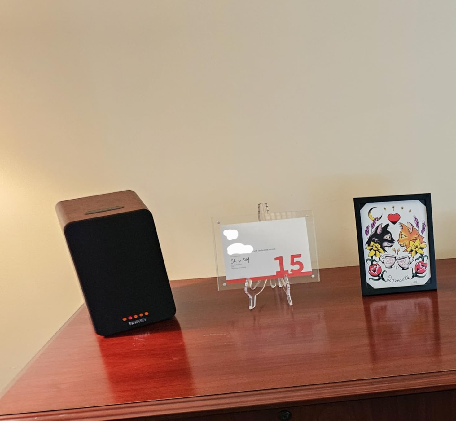 Saiyin Powered Bluetooth Bookshelf Speakers customer photo 1