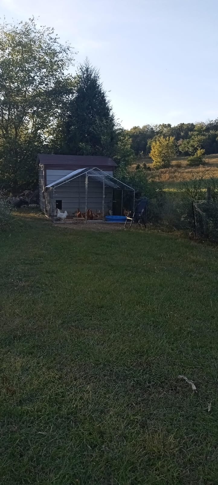 Large Metal Chicken Coop 10x10 Walk-in for 20 Chickens, Predator-Proof customer photo 1