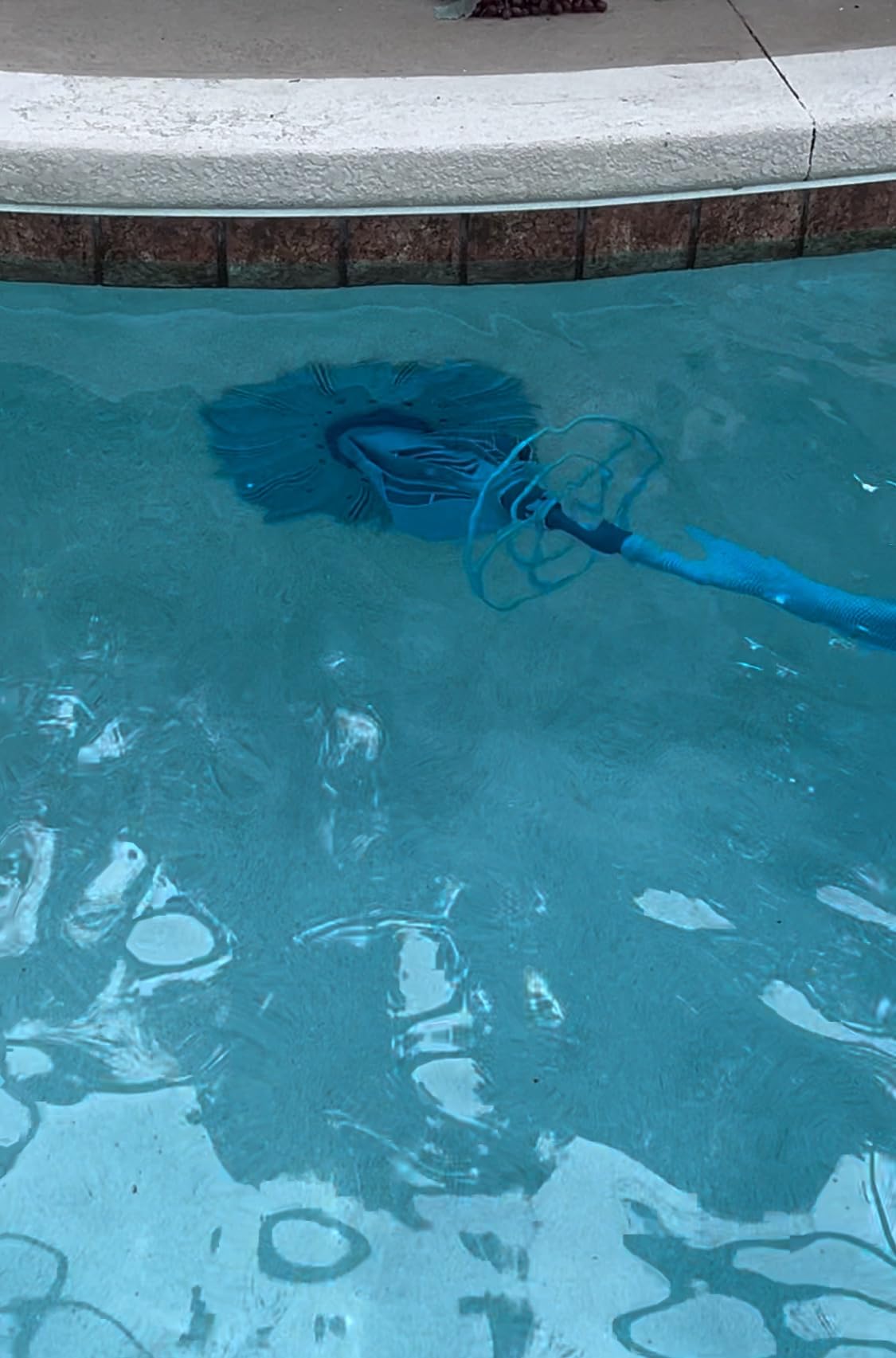U.S. Pool Supply Octopus Suction Pool Cleaner, Inground Automatic Pool Vac customer photo 1