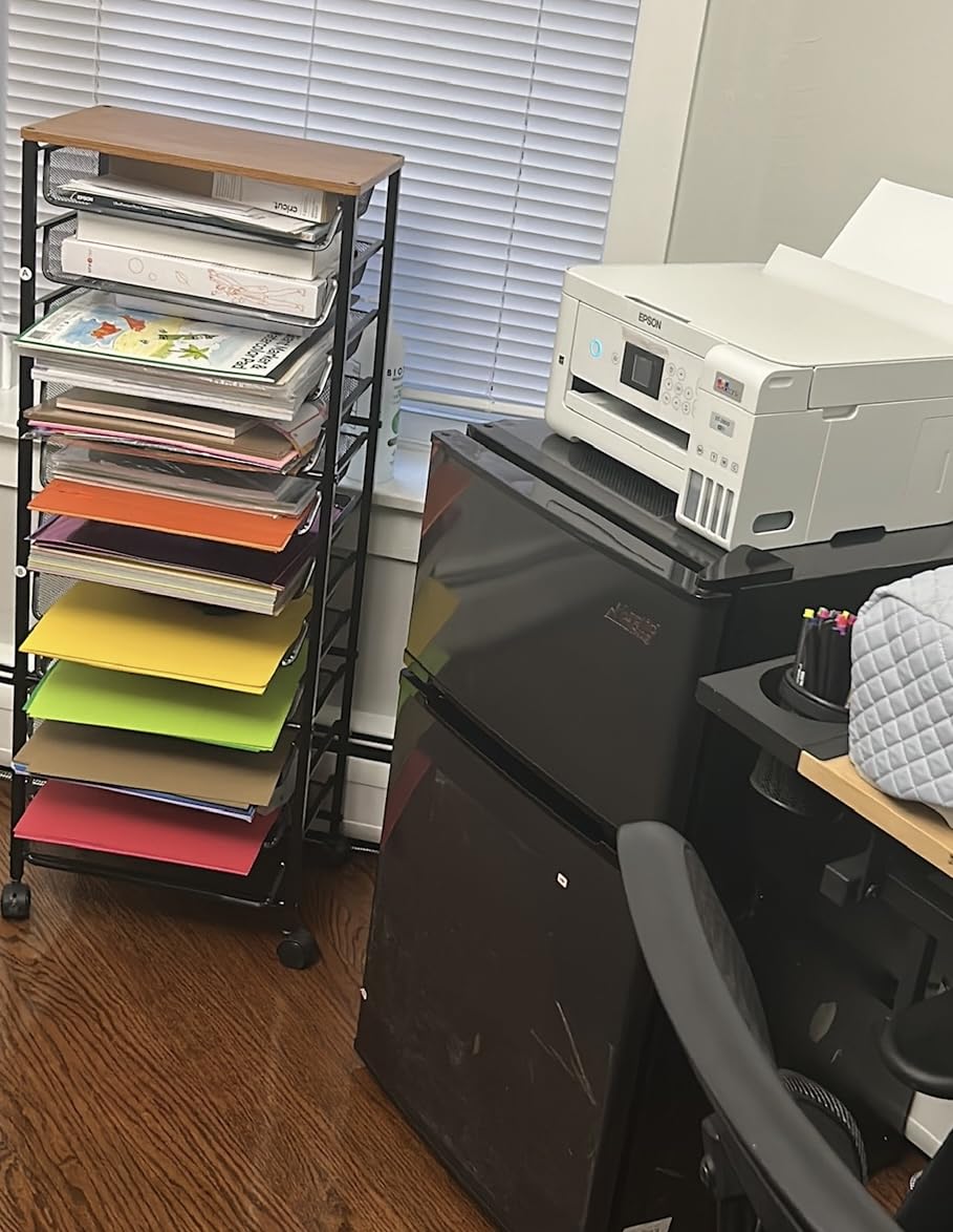 Simple Trending 12-Tier Rolling File Cart, Desk File Organizer with 11 Mesh Sliding Trays, Letter & Legal Paper Storage Rolling Utility Cart for Office Home School, Black customer photo 1
