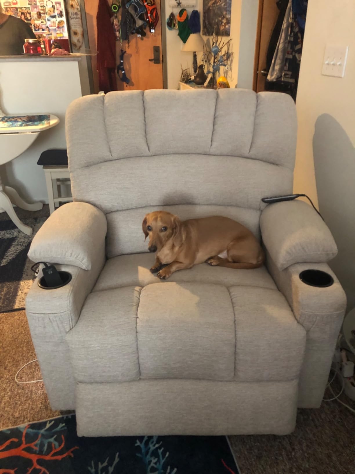 MCombo Oversized Power Lift Recliner Chair for Big and Tall Elderly, R7092 customer photo 2