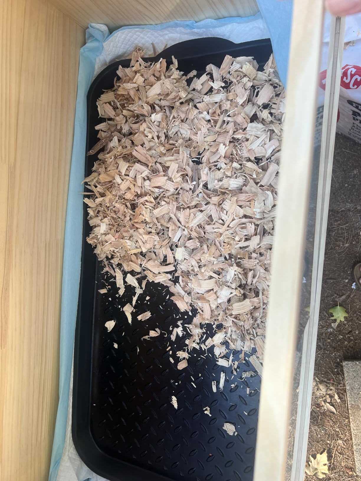Large Wooden Chicken Brooder Box with Bulb Set and Thermometer - Brooder Box for Chicks Indoor Accommodates Up to 12 Chicks - Ideal for Chickens, Ducks, Quails, Hamsters, and Lizards(32x16x16 Inches) customer photo 1