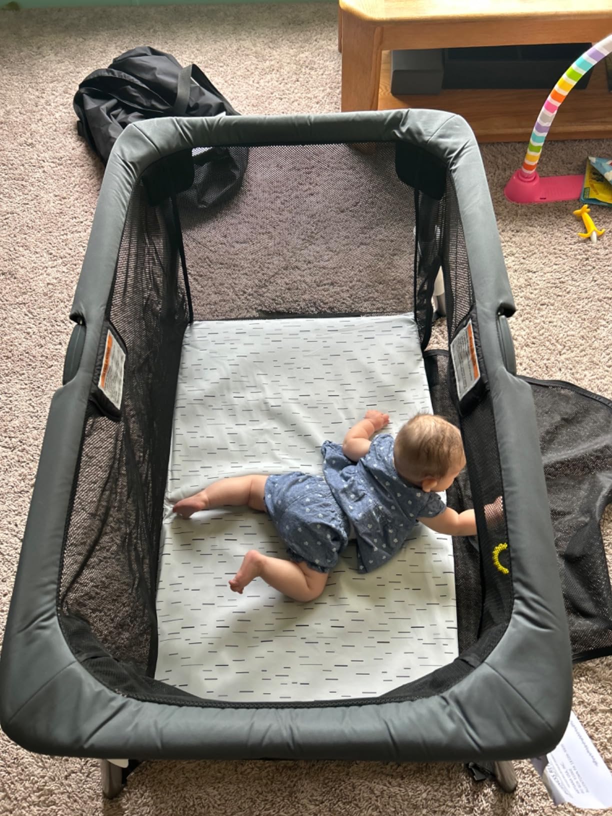 Chicco Alfa Lite Ultra-Lightweight Portable Playard with Travel Bag customer photo 1
