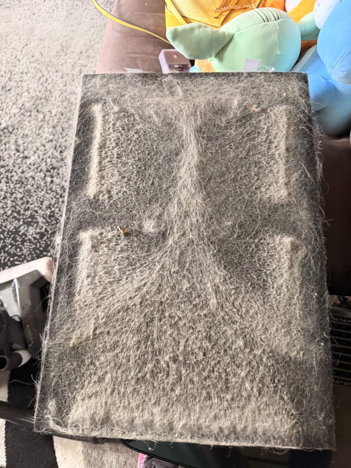 Pet Air Purifier Large Home 4200 sq ft, Suck up Floating Cat Dog Hair Dander, 7-Stage H13 HEPA Anion Activated Carbon Filter, Air Purifiers with APP for Odor Allergies Smoke Dust, Zero Ozone, P339 customer photo 2