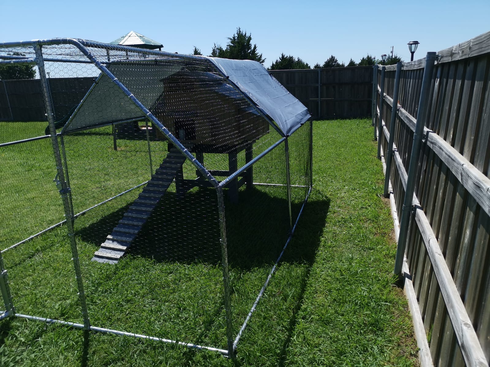 Polar Aurora Metal Chicken Coop, Large Outdoor Chicken Pen, Walk-in Chicken Run for 6-20 Chickens, Double Door Chicken House with Waterproof UV Protection Cover for Backyard (Spire-S) customer photo 2