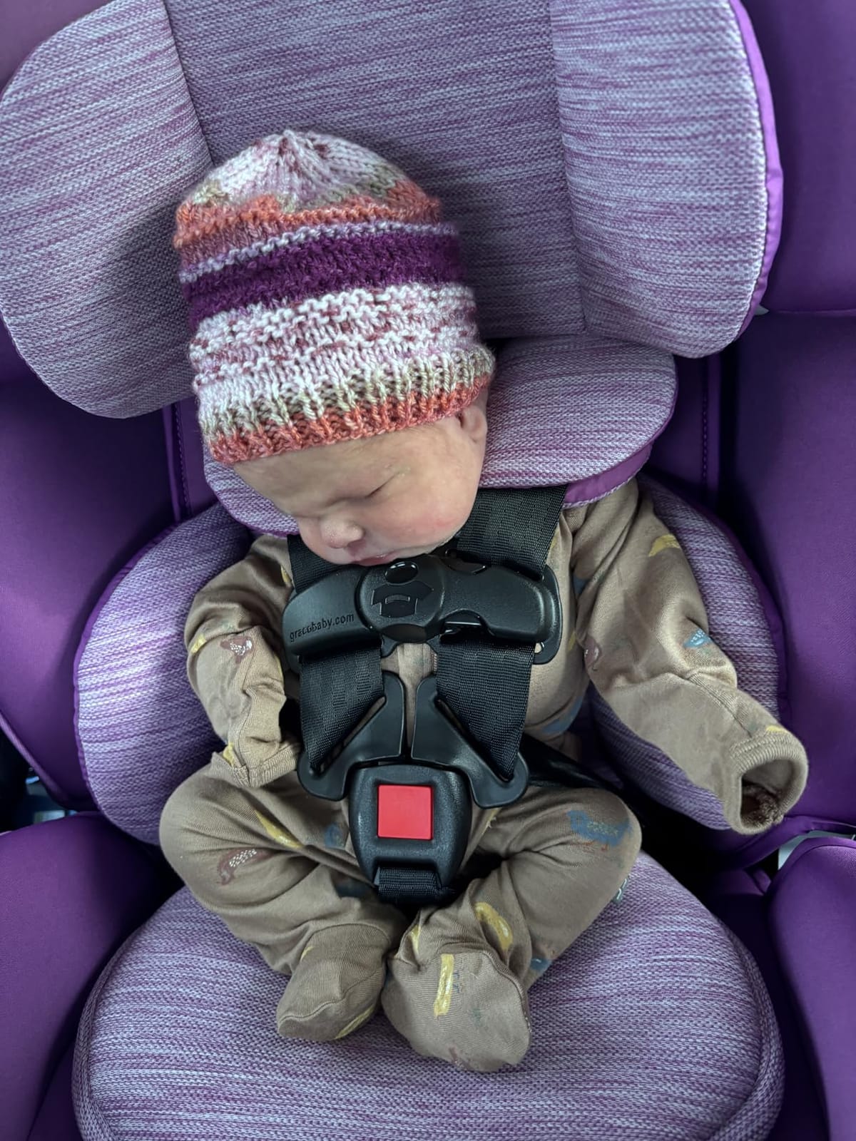 Graco Slimfit 3-in-1 Convertible Car Seat, Silas customer photo 2
